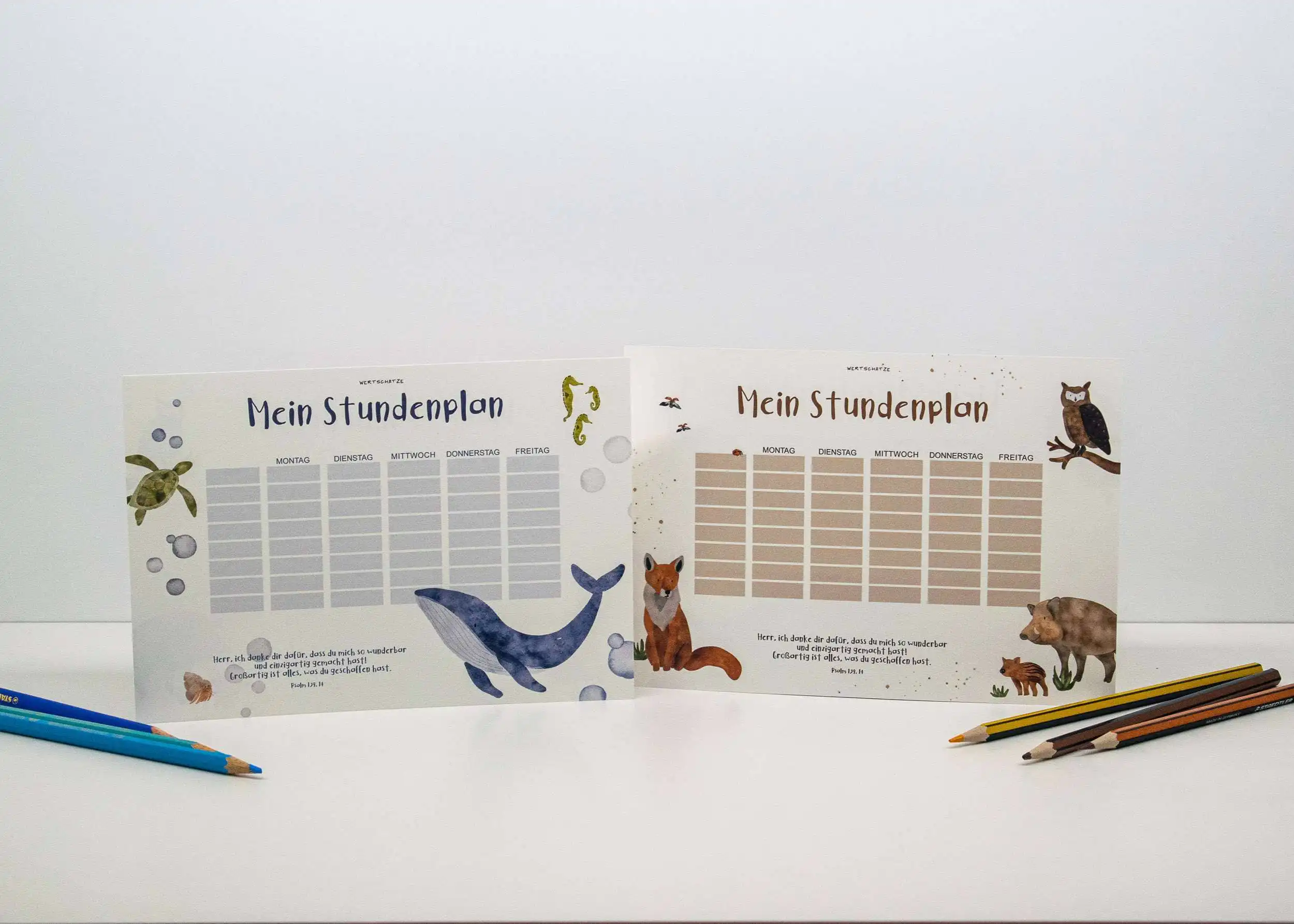 Naturkundlicher Stundenplan für Kinder mit Tiermotiven, nachhaltige Schulmaterialien, Kinderlernen.