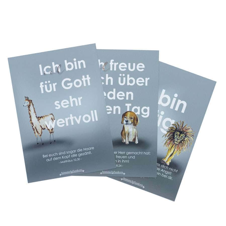 52er Mutmach-Kartenset STEINSCHLEUDER 5 Glaubenskarten mit biblischen Botschaften für Christen, inspirierende christliche Sprüche.