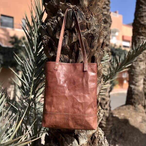 Natürlich! Hier sind die SEO-optimierten Textwerte für das Bild:.