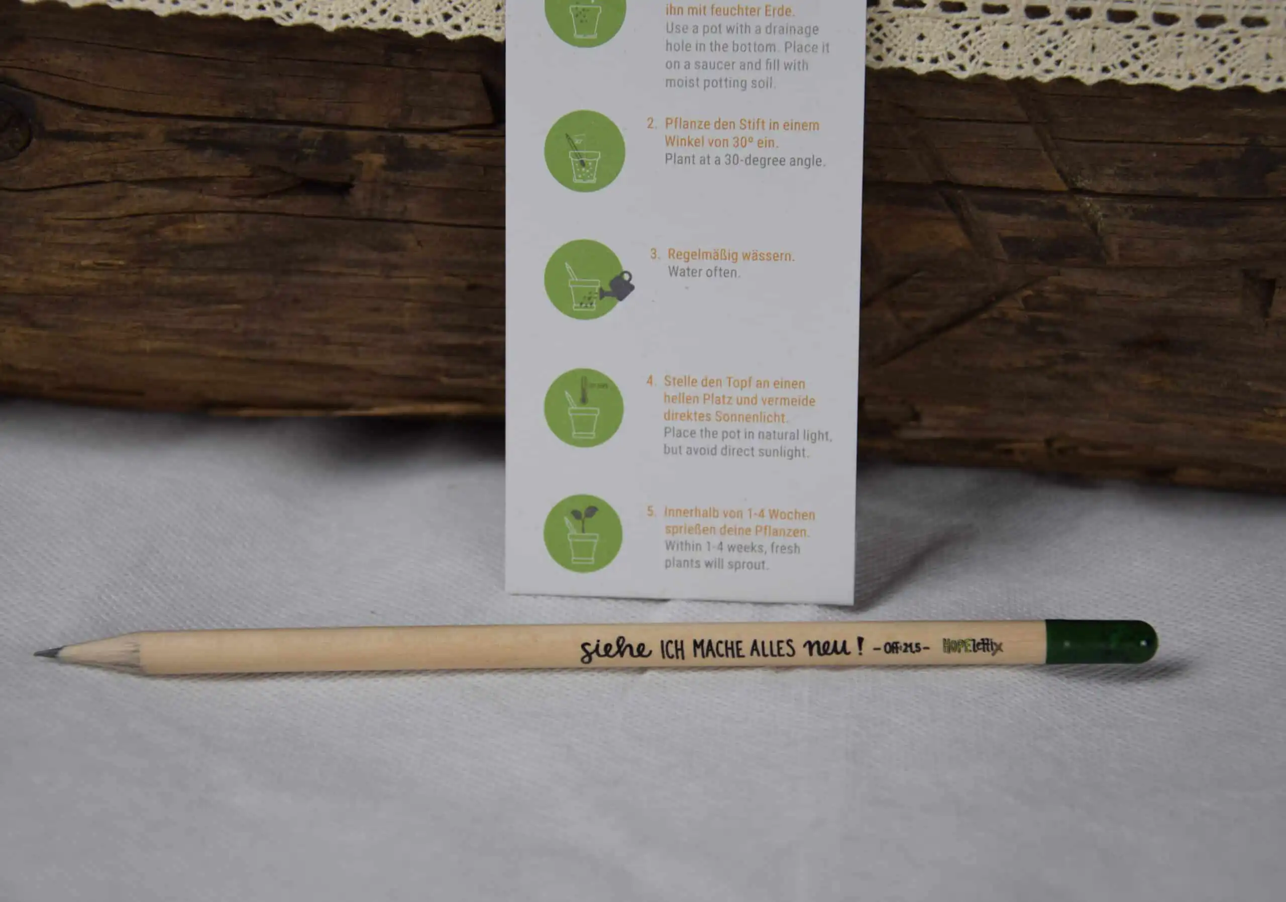 Bleistift Set mit Samenkapsel Jahreslosung 2026 "Alles neu" 3 Gebetsstift mit christlichem Slogan, nachhaltiger Geschenkartikel.