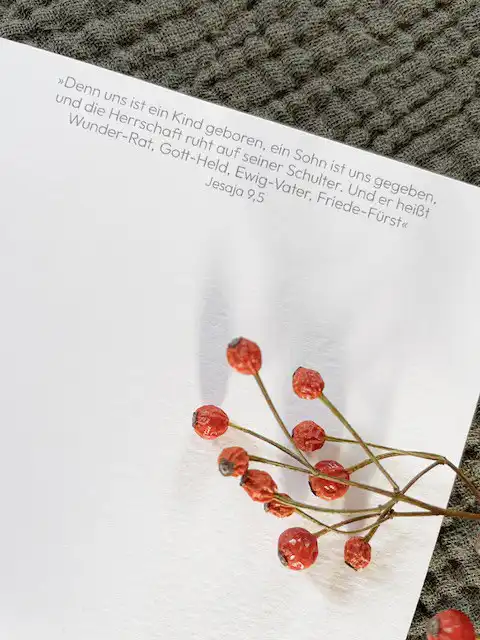 Weihnachtskartenset mit Aquarell-Illustrationen 4 Fröbelsterne mit christlichem Bibelvers auf weißem Papier, christliche Weihnachtsdekoration.