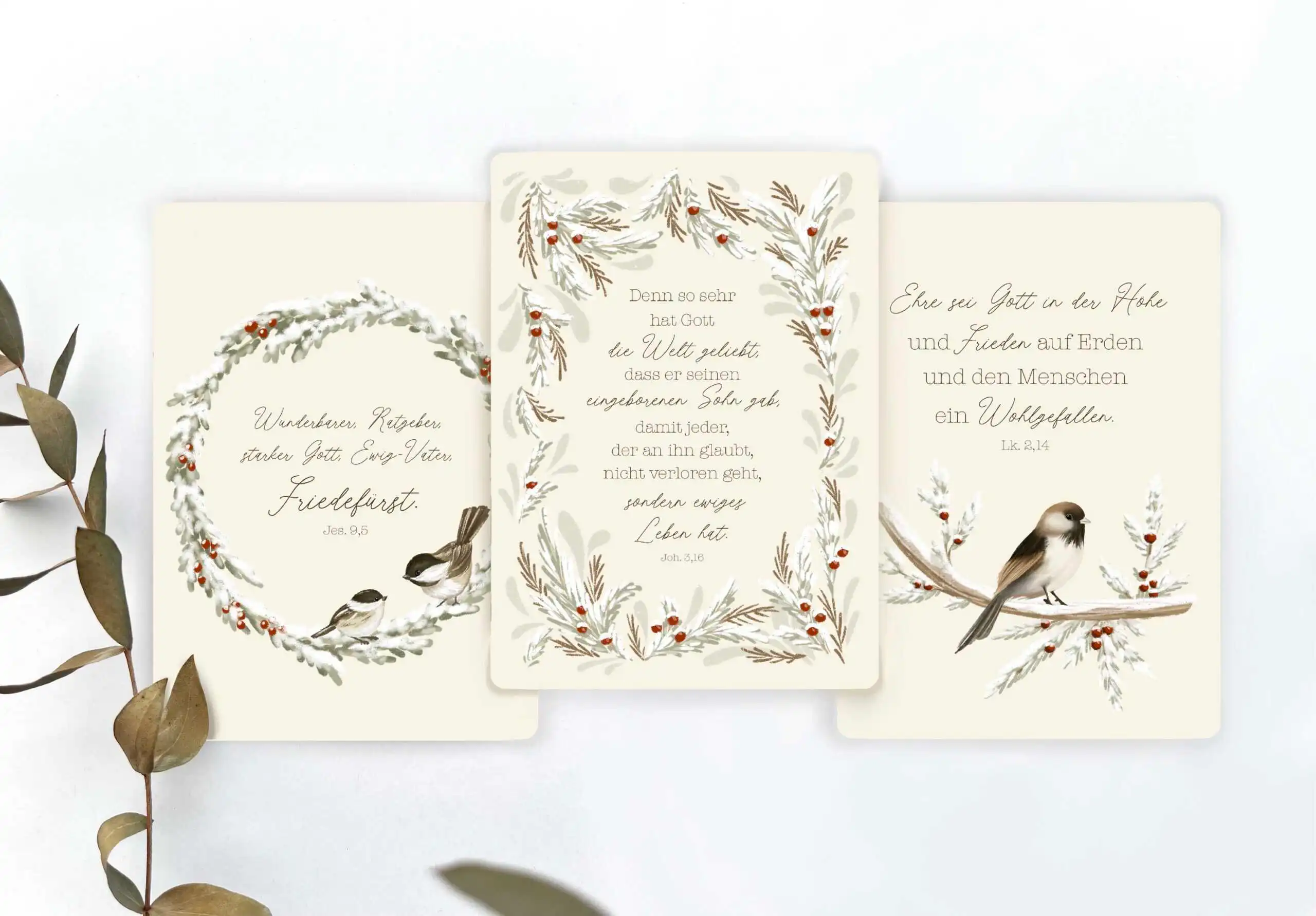 Feine Weihnachtskarten mit Vogeldesign und zarten Naturmotiven in Pastellfarben.