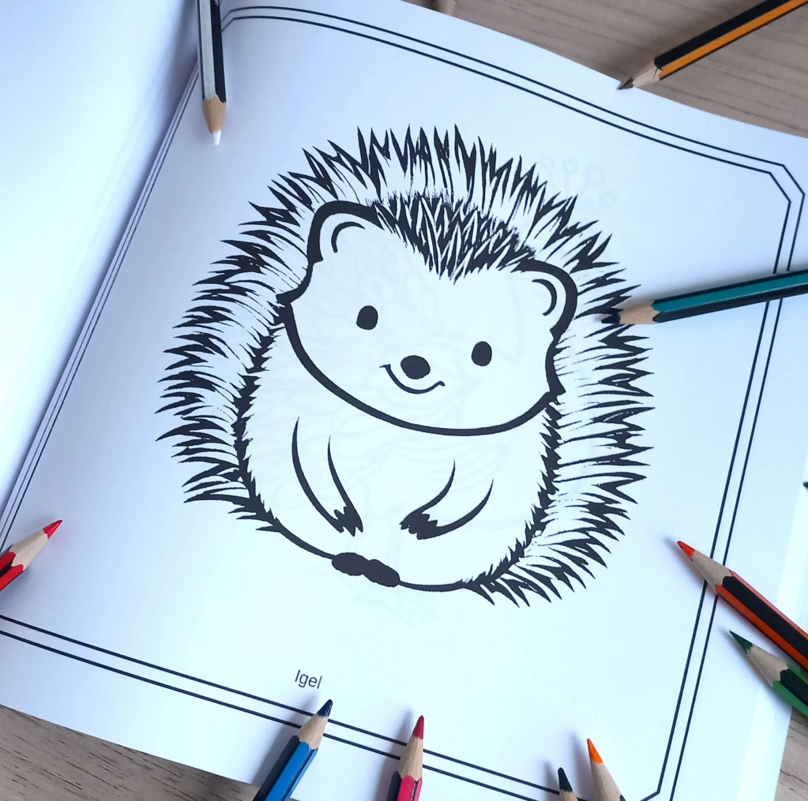 „Tierkinder in der Bibel" – Christliches Malbuch für Kinder ab 3 Jahren 3 Ein niedliches, handgezeichnetes Igel-Bild für Kinder, mit Buntstiften auf Papier.