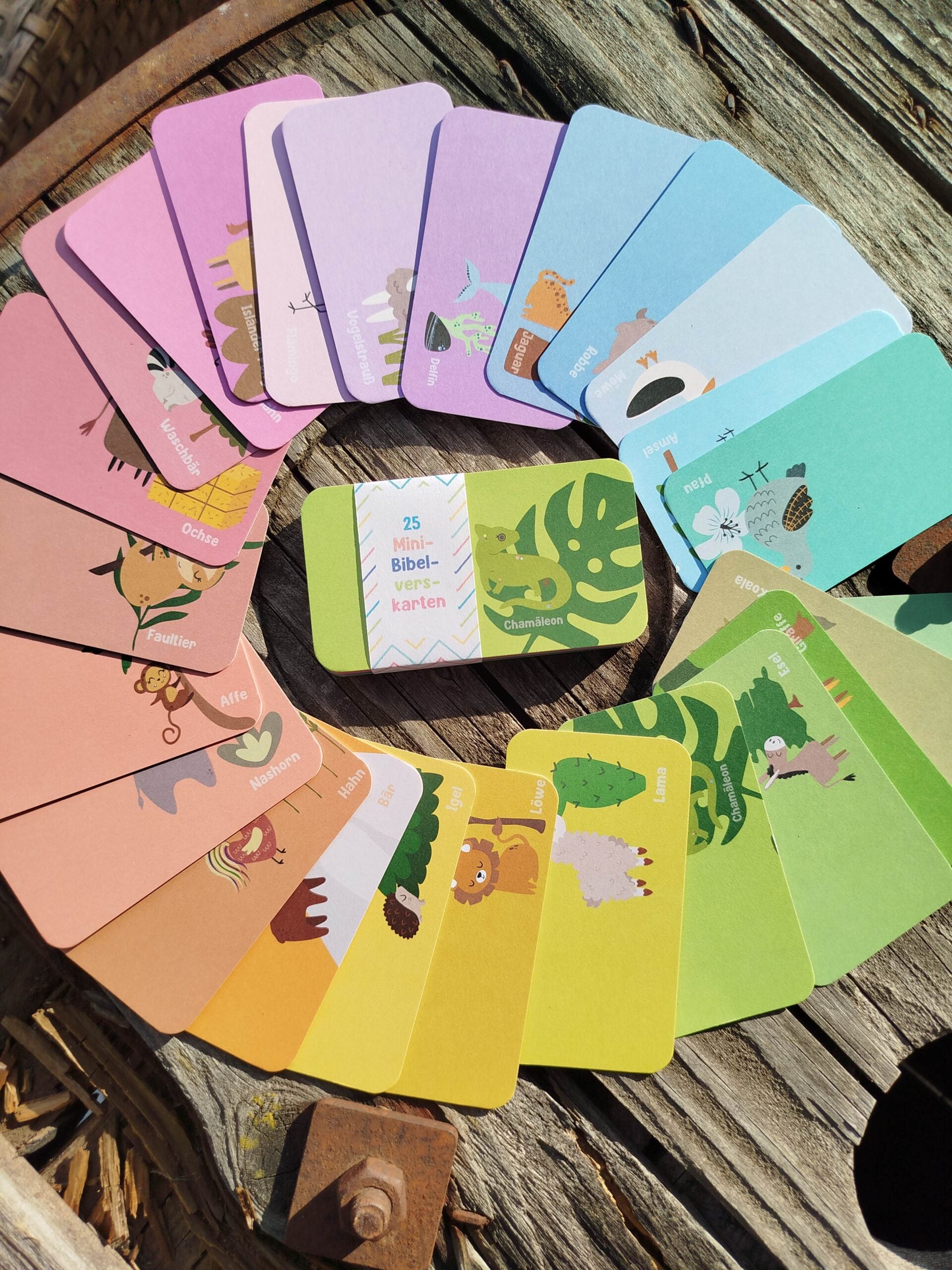 Bibel-Karten für Kinder in bunten Farben, ideal für christliche Bildung und Spiele.